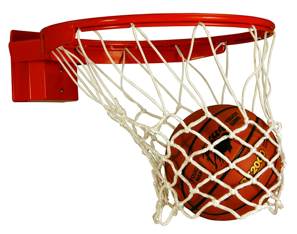 Basketballschild romana dop12