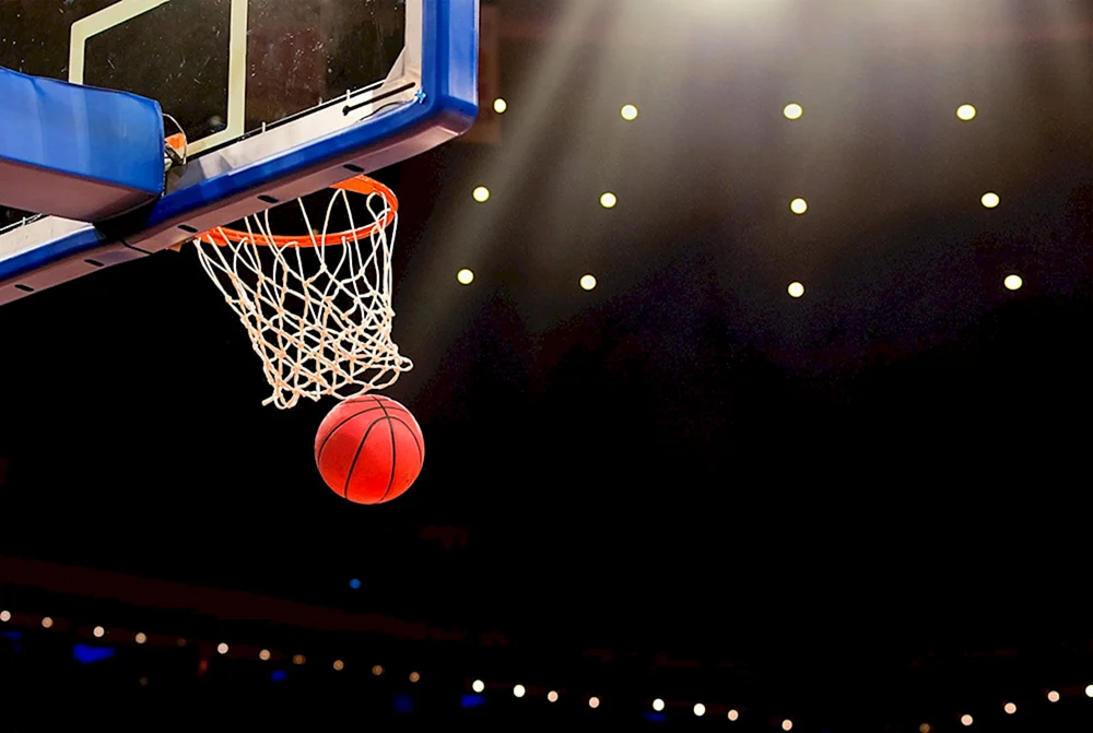 Basketballständer DFC KIDSC