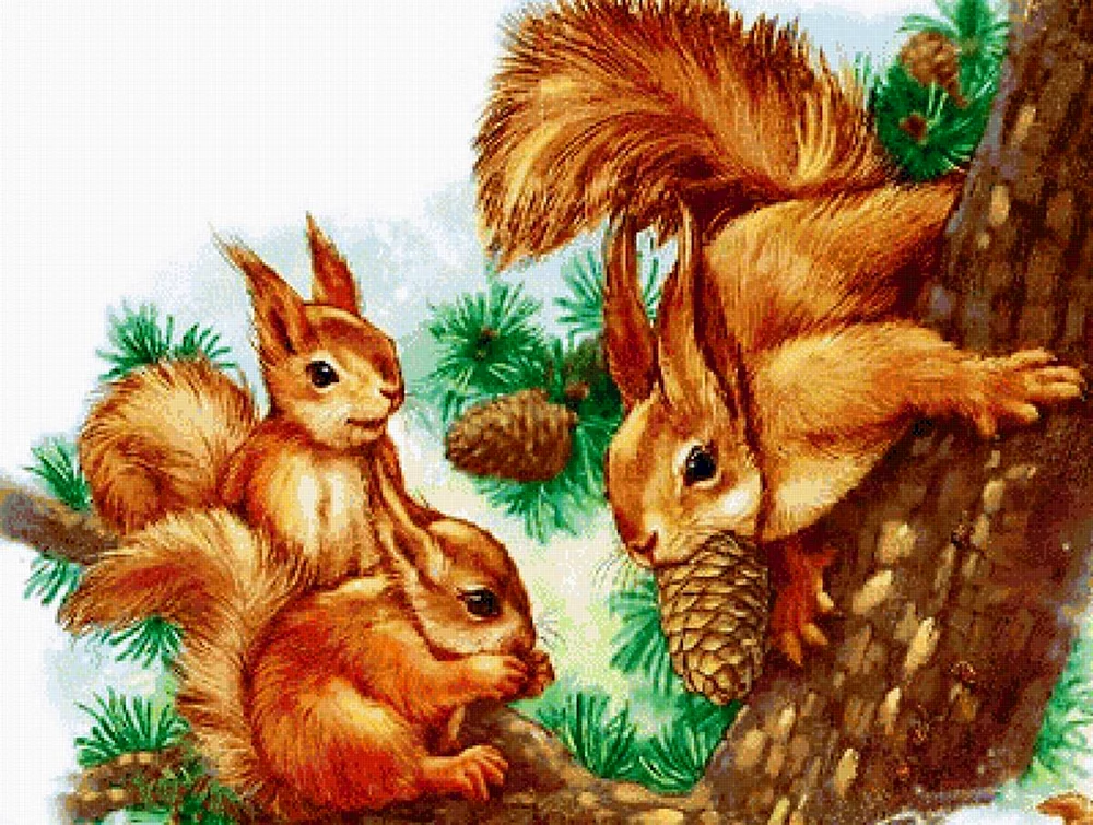 Eichhörnchen Illustration