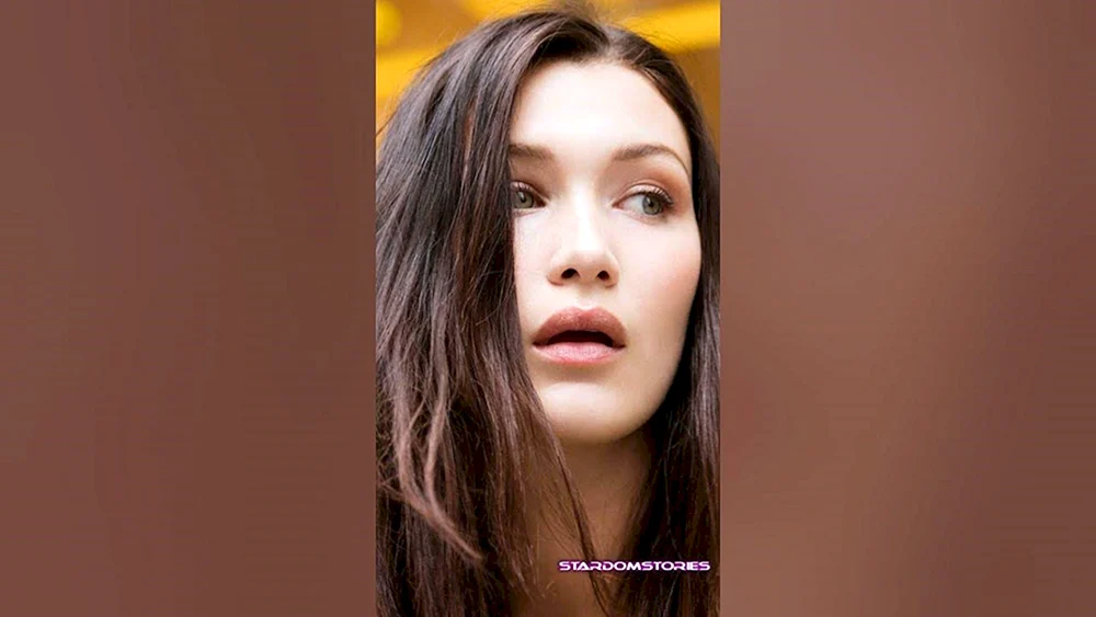 Bella Hadid Wangenknochen
