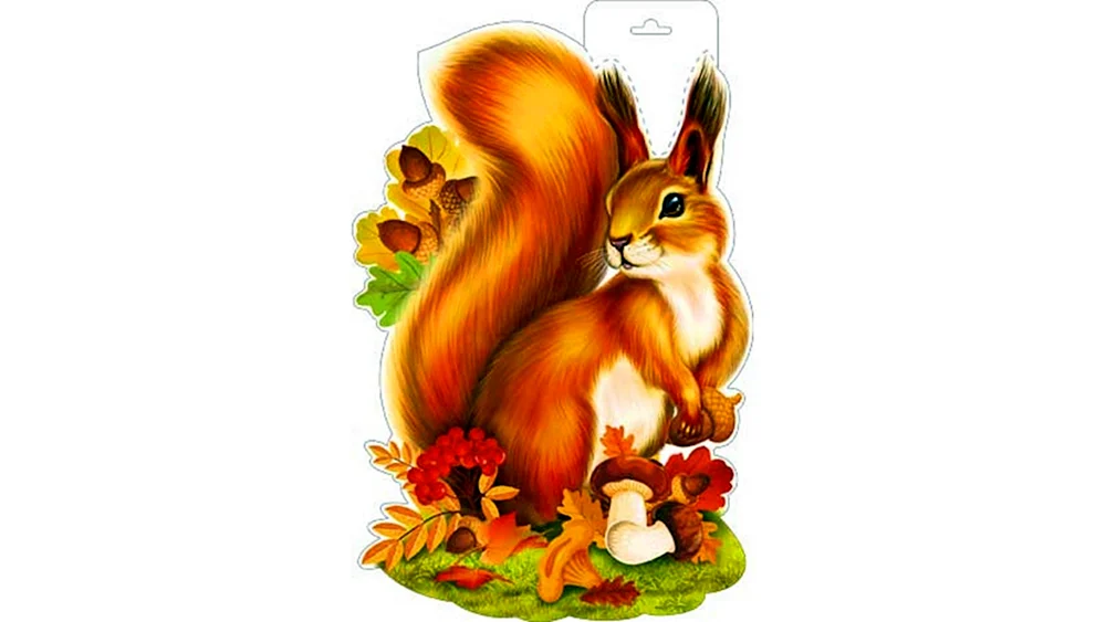 Eichhörnchen für Kinder