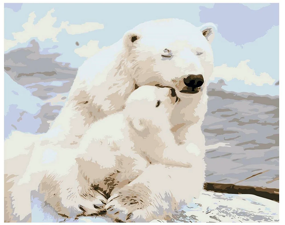 Eisbär Ursus maritimus