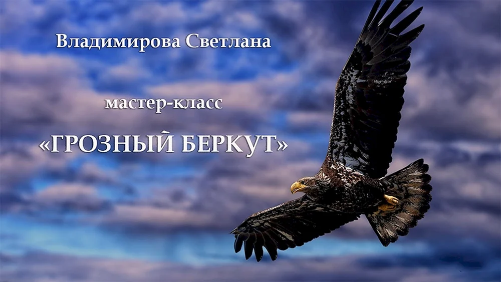 Беркут