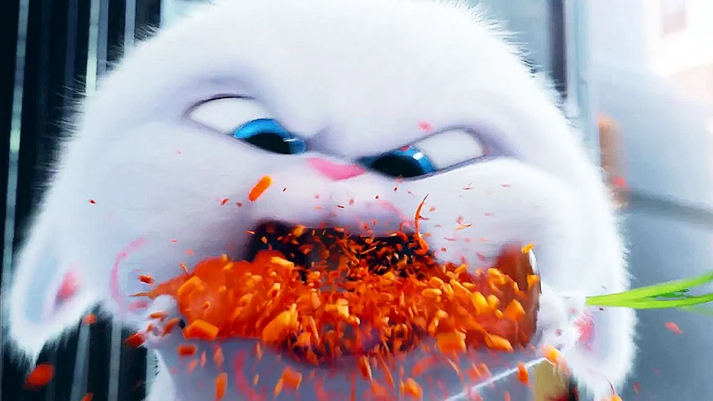 Das geheime Leben der Haustiere Hase