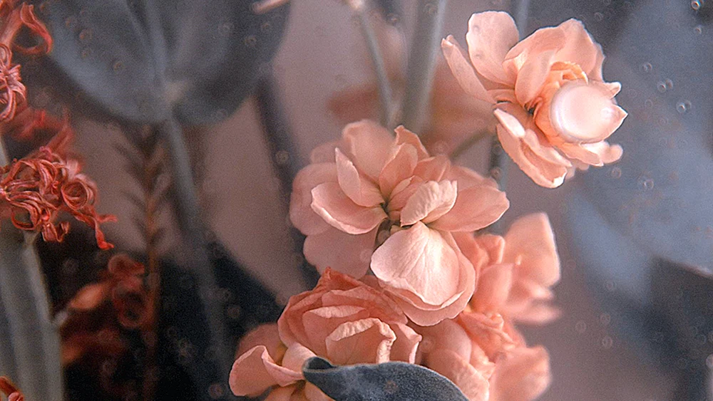 Beige Blumen