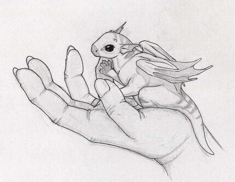 Zahnloser Drache zum Ausmalen