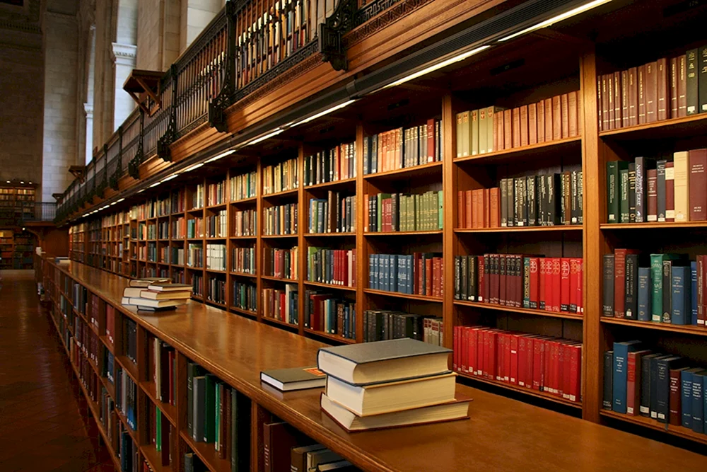 Bibliotheksregale für Bücher