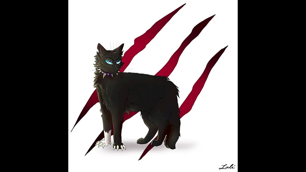 Beach Warrior Cats und Bonesaw