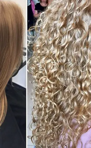 Bio curl 2022