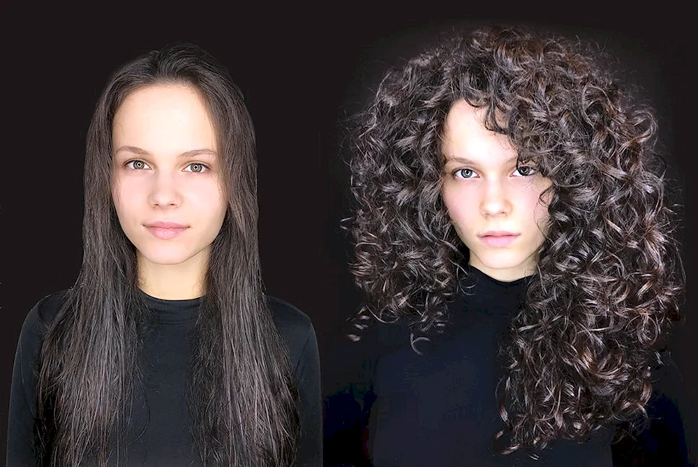 Bio curl 2022