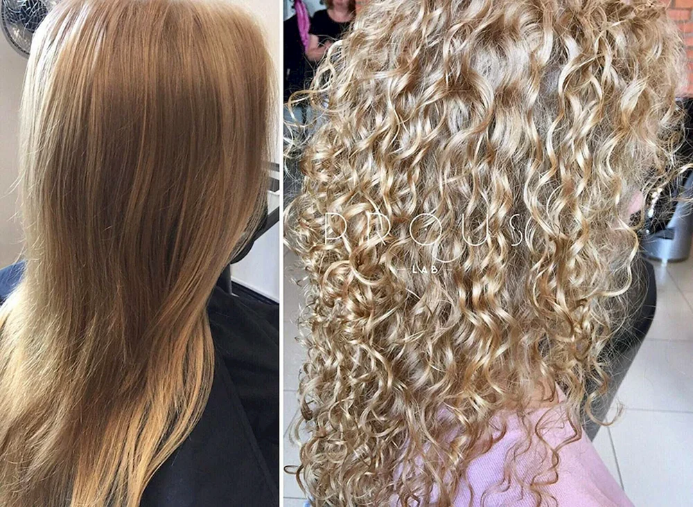 Bio curl 2022
