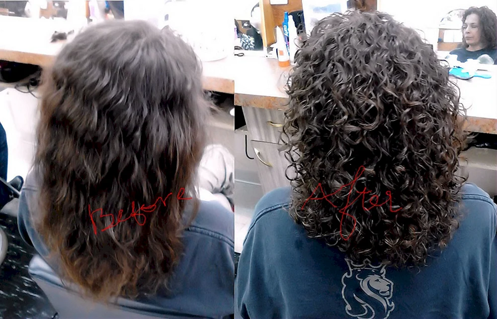 Bio curl 2023