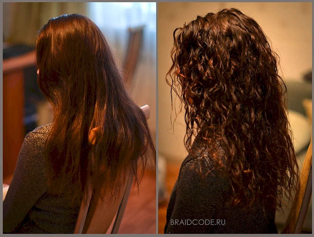 Bio Locken 2023