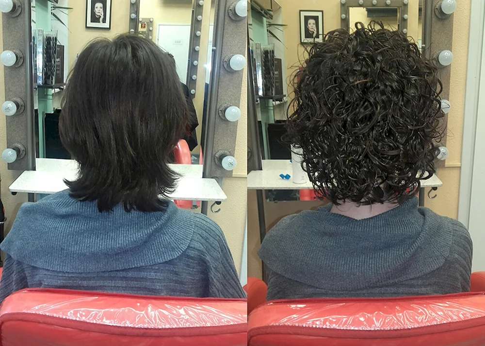 Bio curl 2023