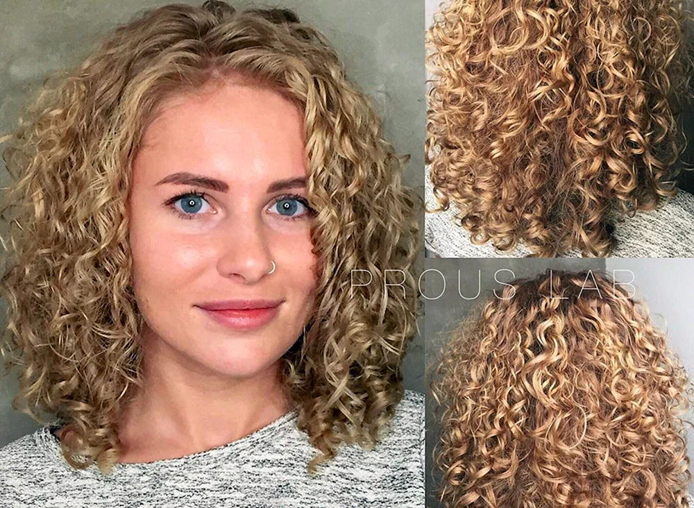 Bio curl 2023