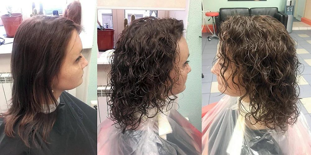 Bio Curl 2023