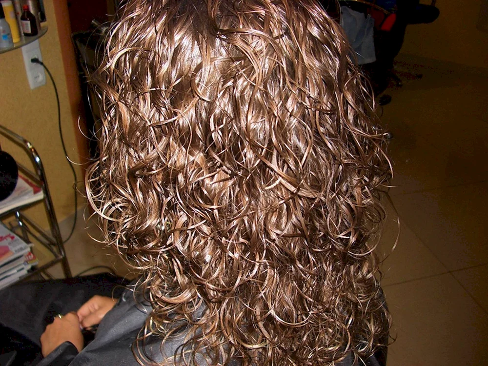 Bio curl 2023