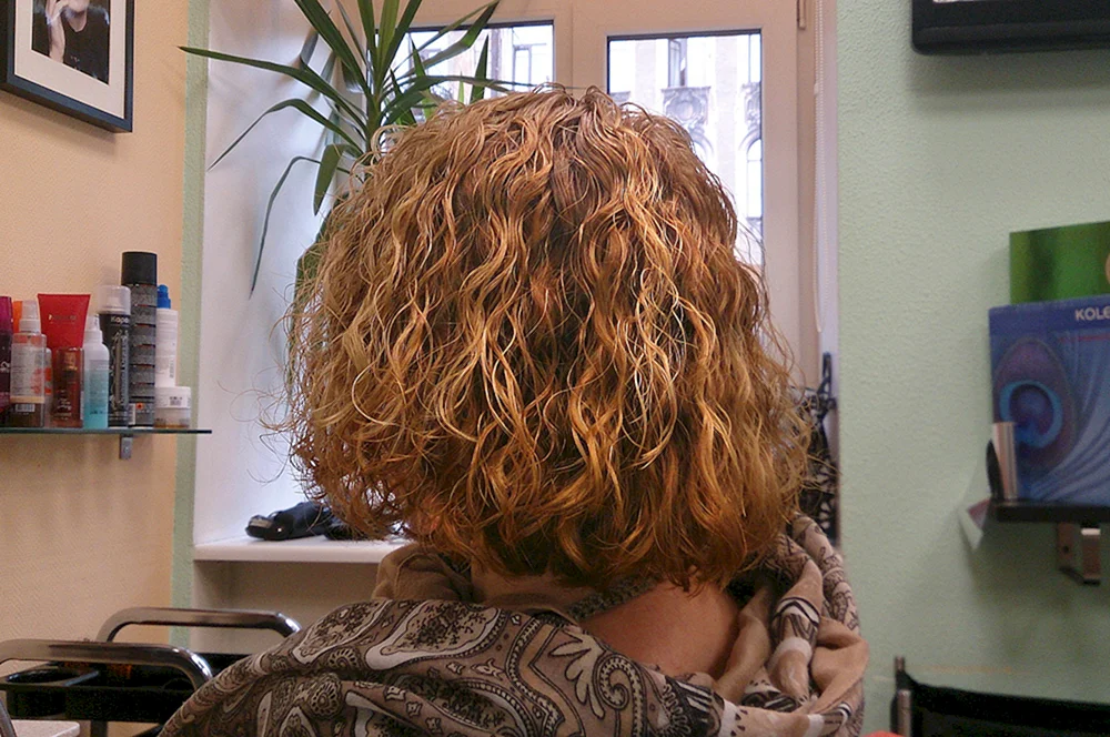 Bio curl 2024