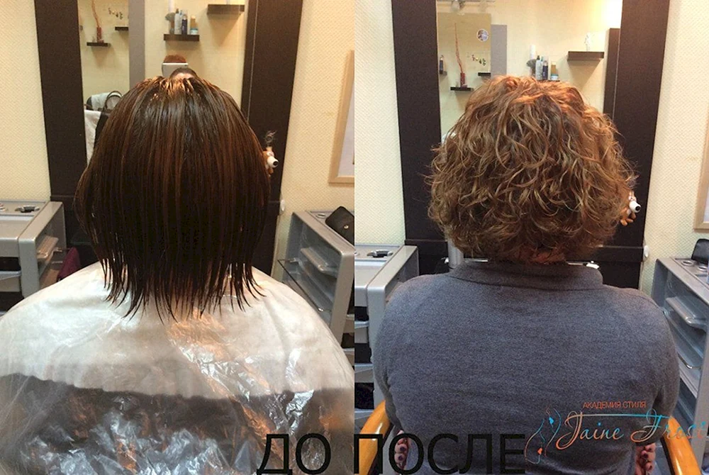 Bio curl 2022
