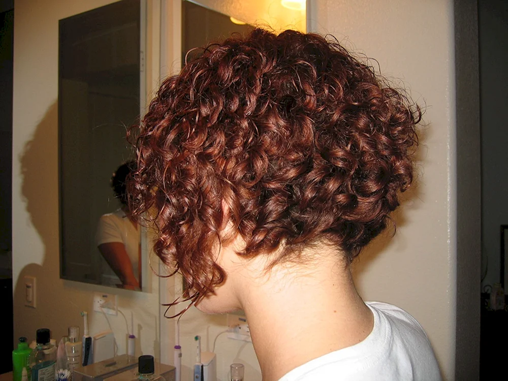 Bio curl bob