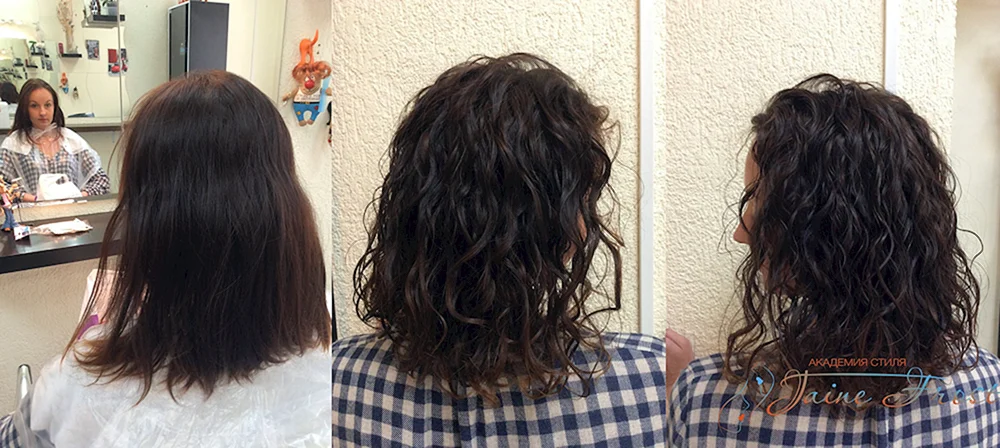 Bio Curl 2023