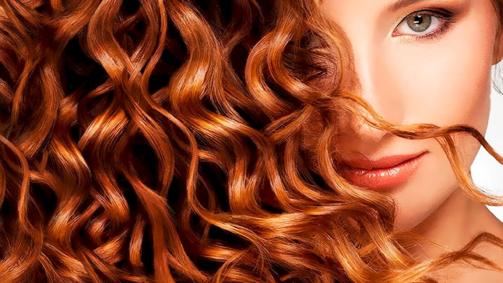 Bio-Curl 6a Bob