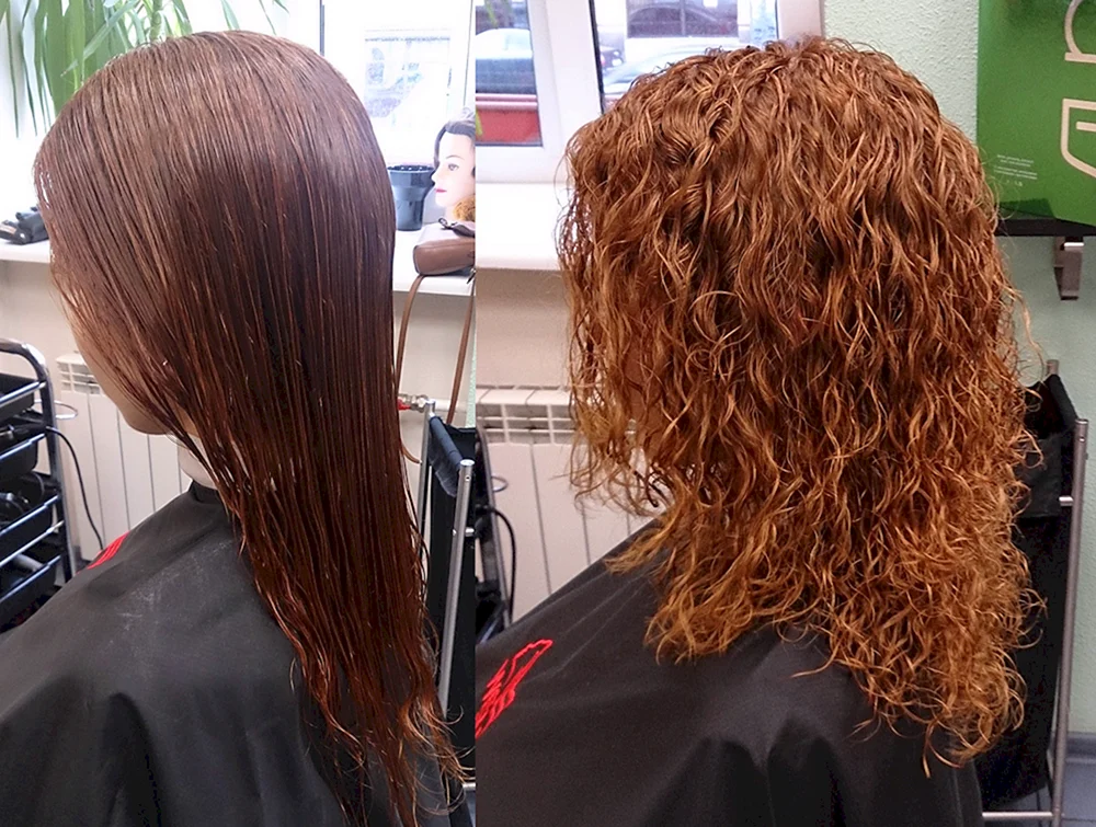 Bio curl 2022