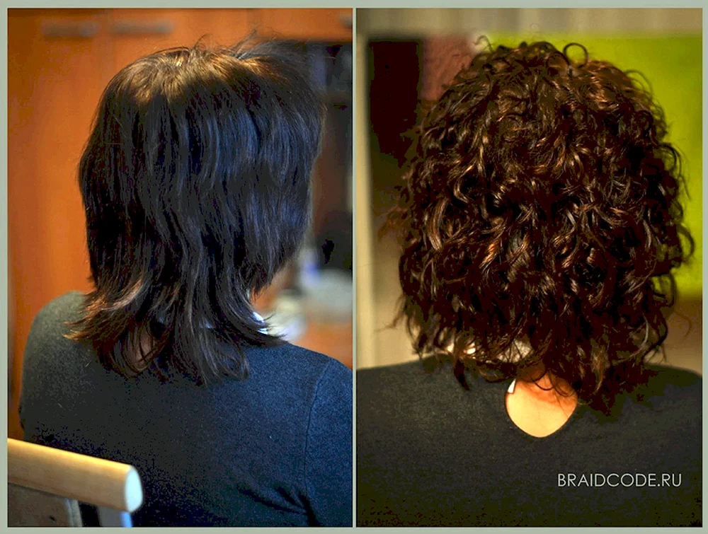 Bio curl on bob