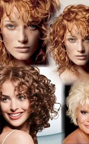 Bio curl auf Bob