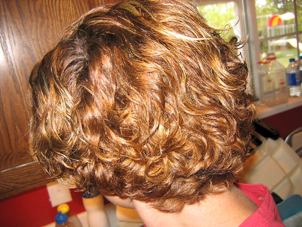 Bio curl auf Cascade
