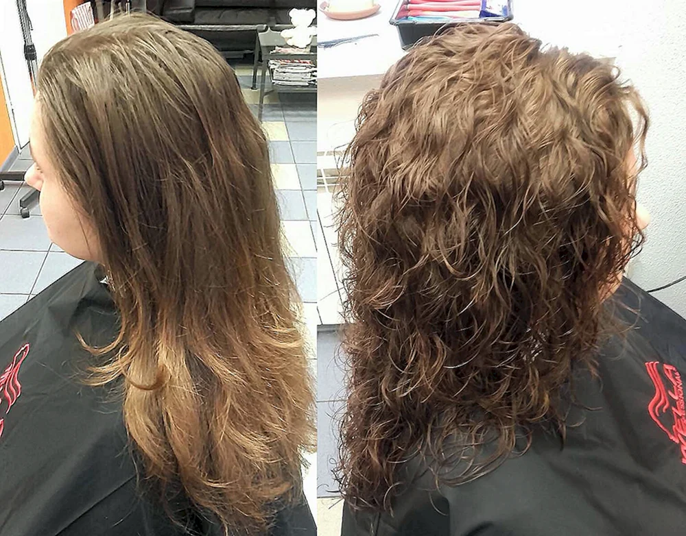 Bio curl Option