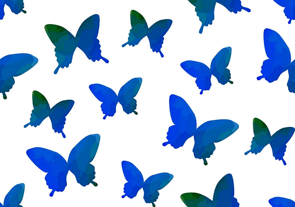 Morpho Menelaus Schmetterling