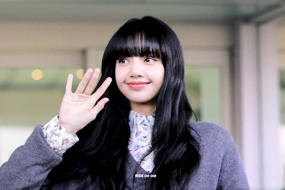 Black Pink Lisa