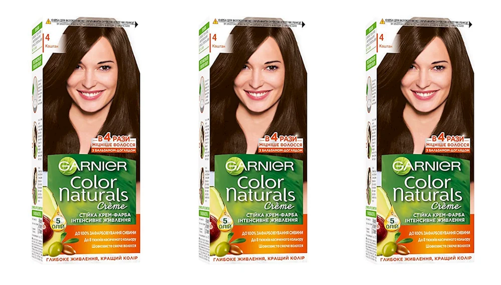 Garnier Haarfärbepalette 4.