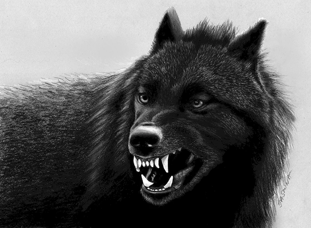 Wolfsbeißer