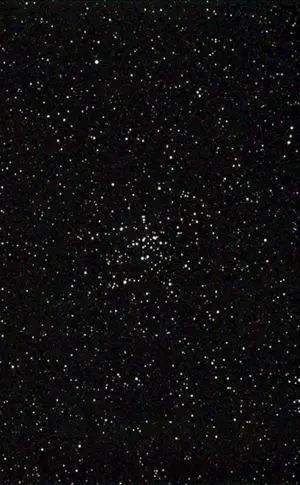 Glitter schwarz