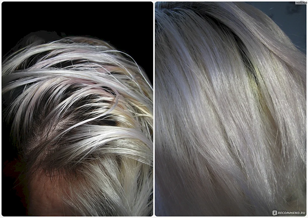 Blondexplosion Arctic blond