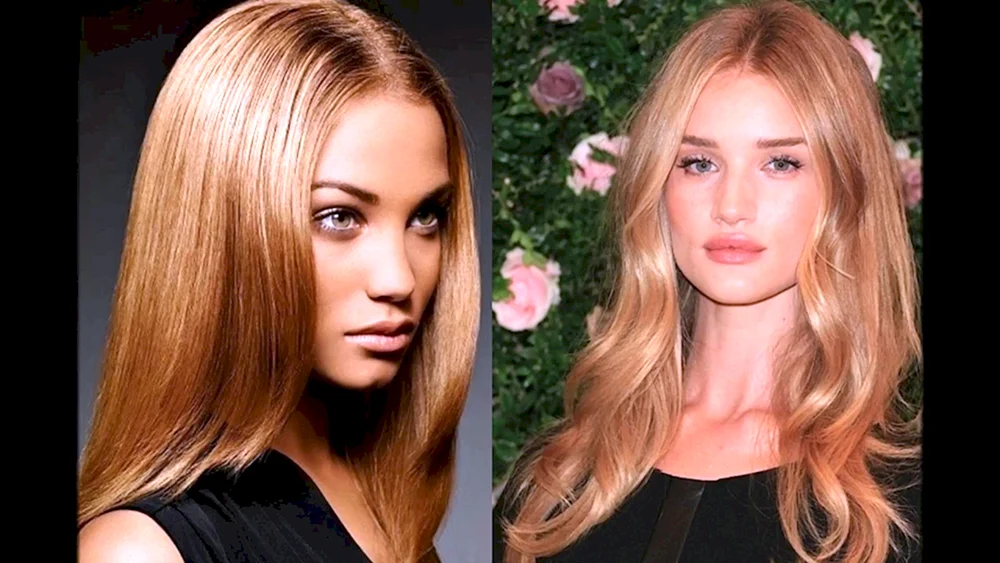 Karamell Honig Weizenblond