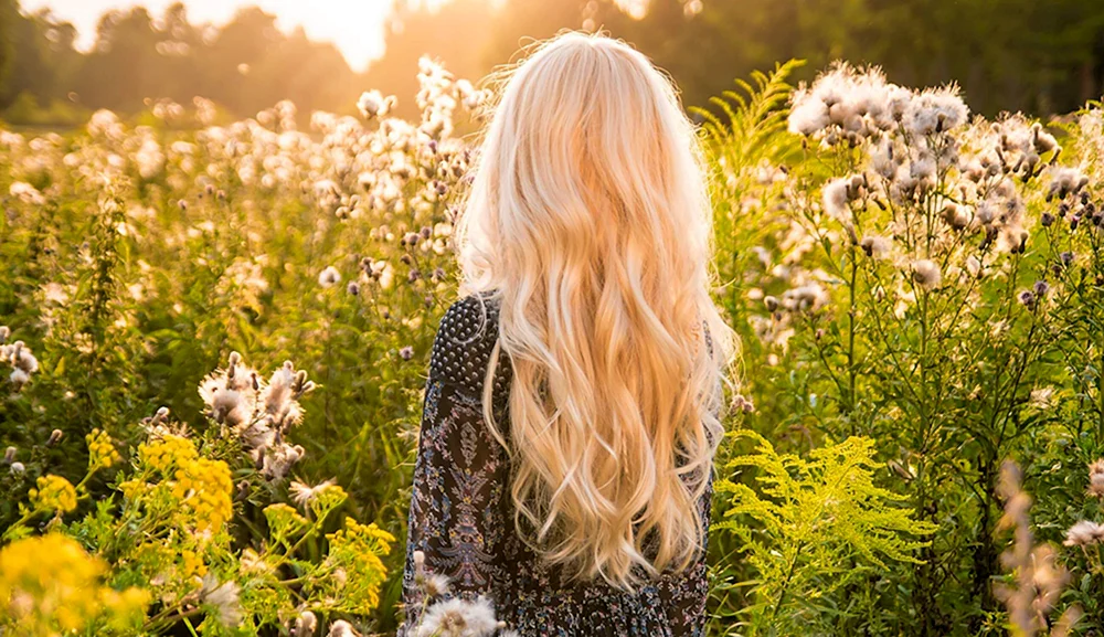 New Blond Goldwell