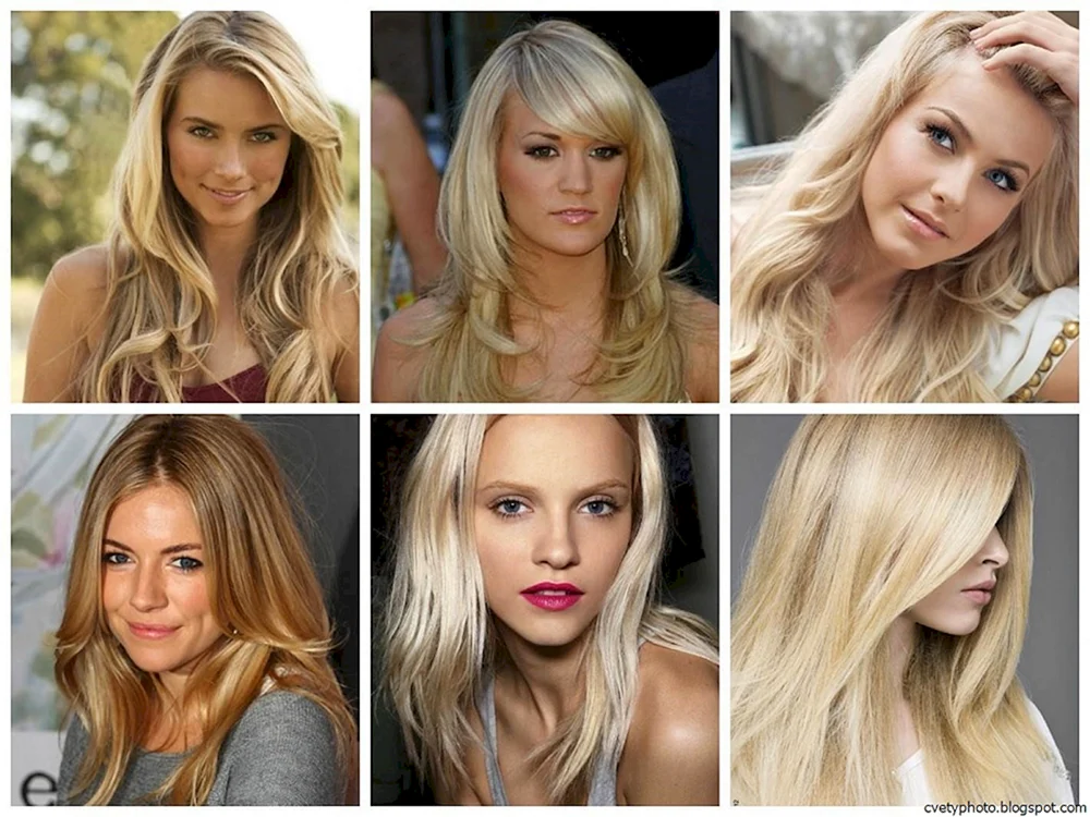 Stefan Danielle Aschblond