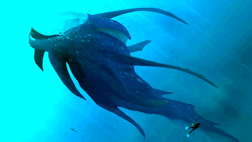 Bloop Monster Wal