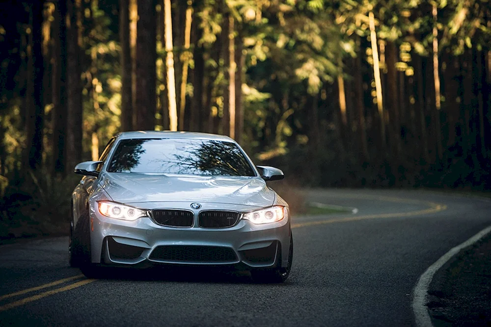 BMW m5 im Wald