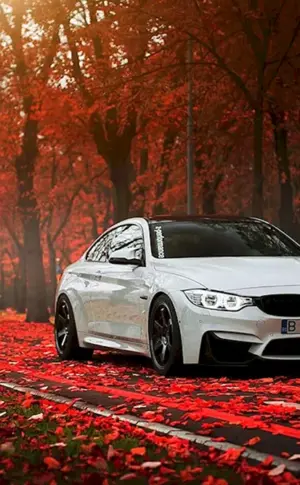 BMW m5 sekilleri