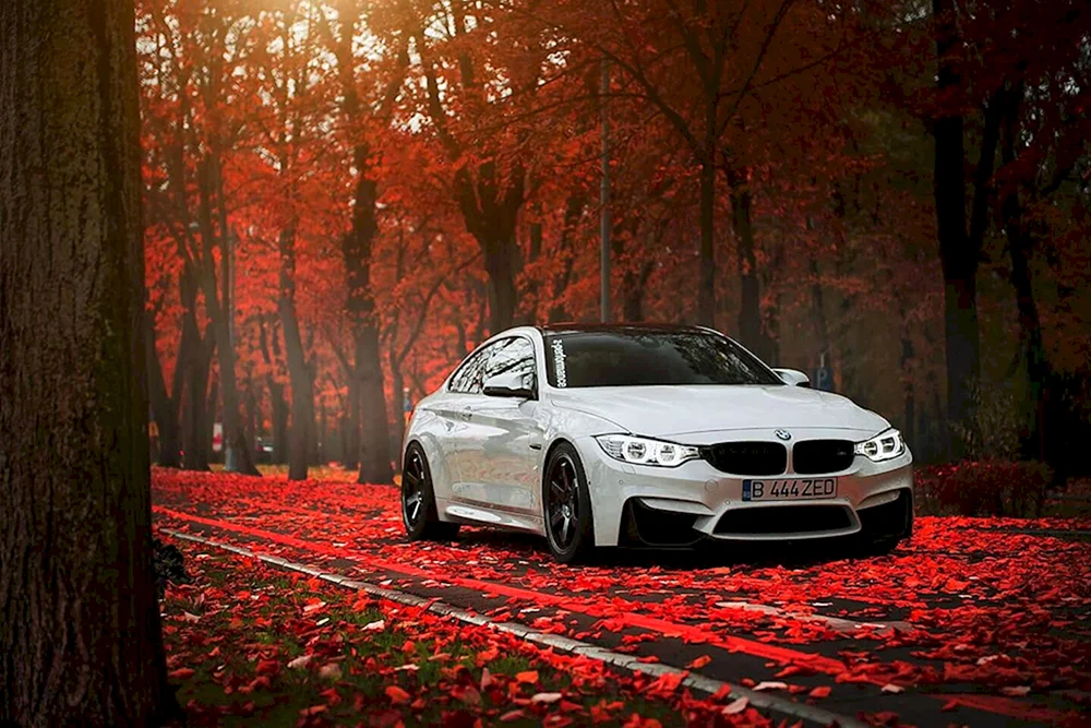 BMW m5 sekilleri