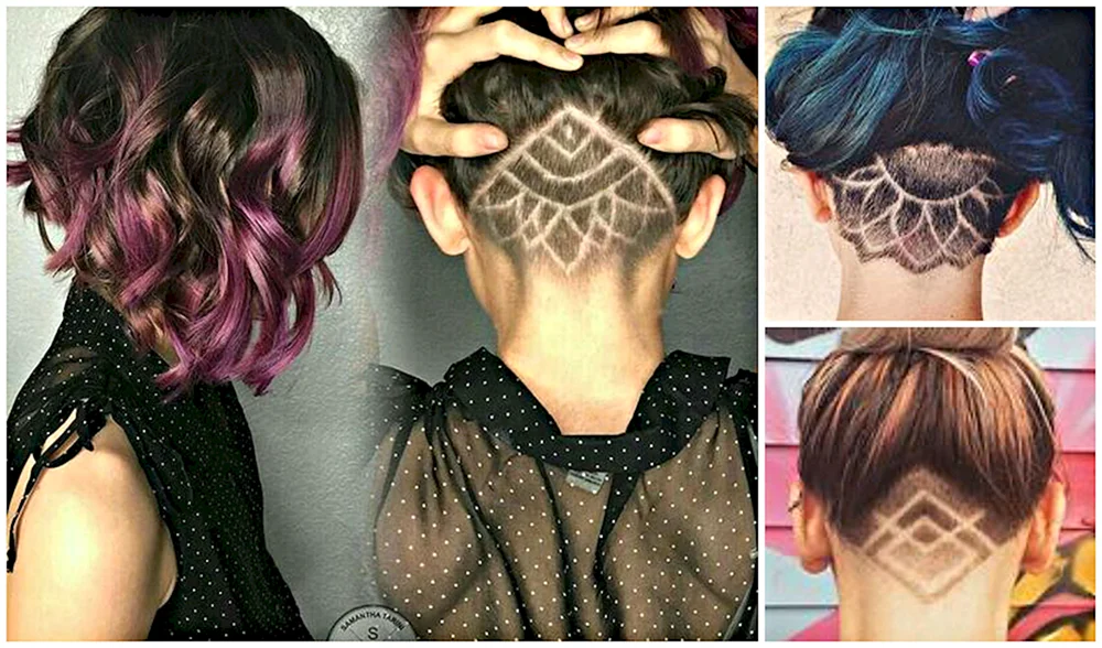 Pixie Bob