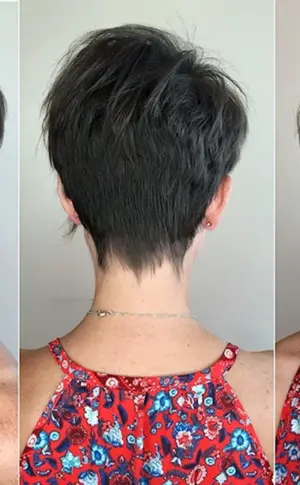 Pixie bob mit Asymmetrie