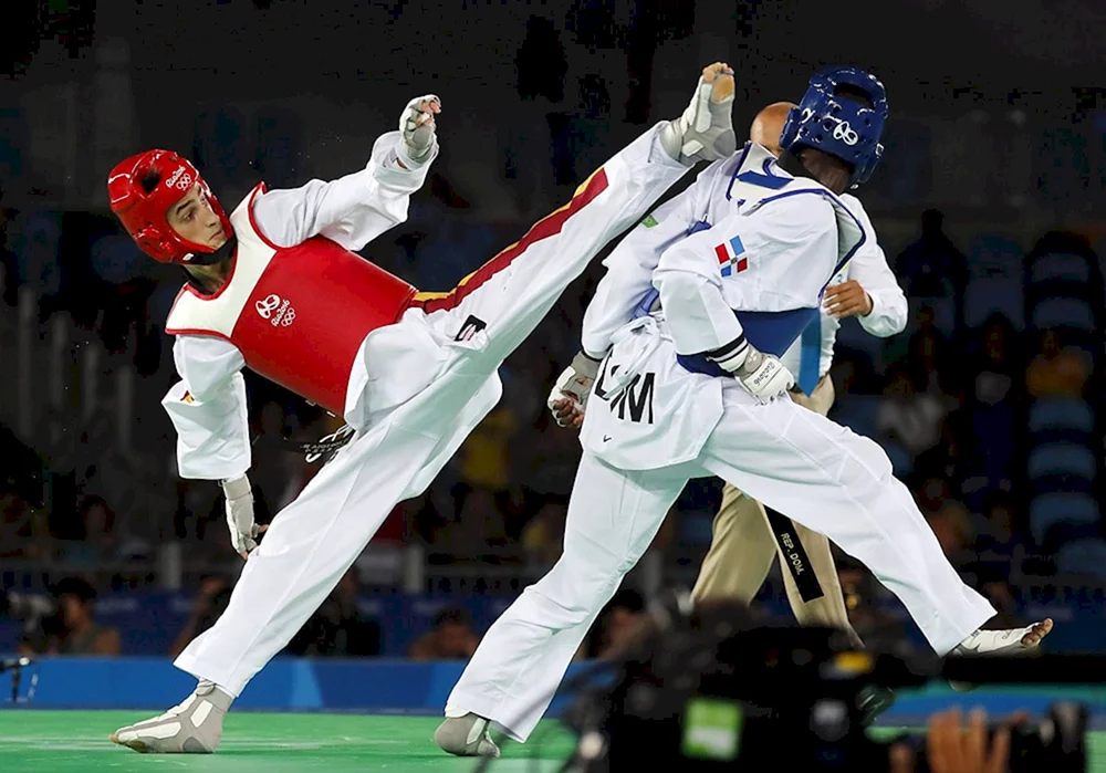 Die Kampfkunst des Taekwondo ITF