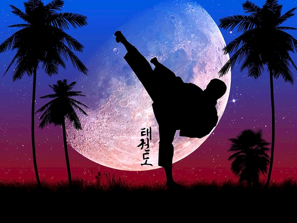 Kampfkunst ITF Taekwondo