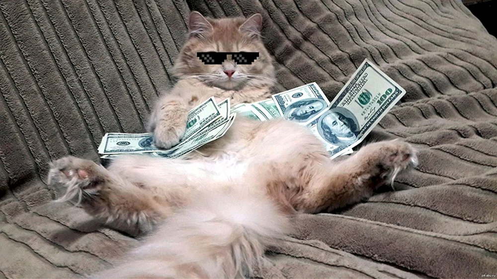 Geldkatze