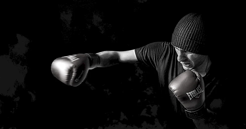 Shannon Hall Boxer